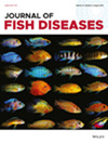 JOURNAL OF FISH DISEASES杂志封面